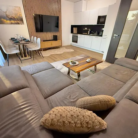 Apartmán Klement - 150m Skoda Muzeum - 2 Bedroom *