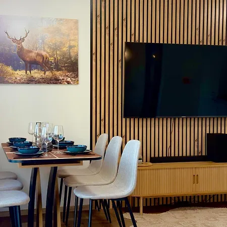Apartmán Klement - 150m Skoda Muzeum - 2 Bedroom *
